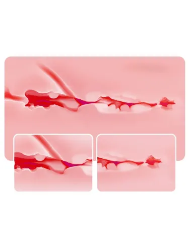 Masturbator venera | Infarta toys | Torsos