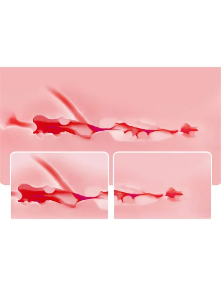 Masturbator venera | Infarta toys | Torsos